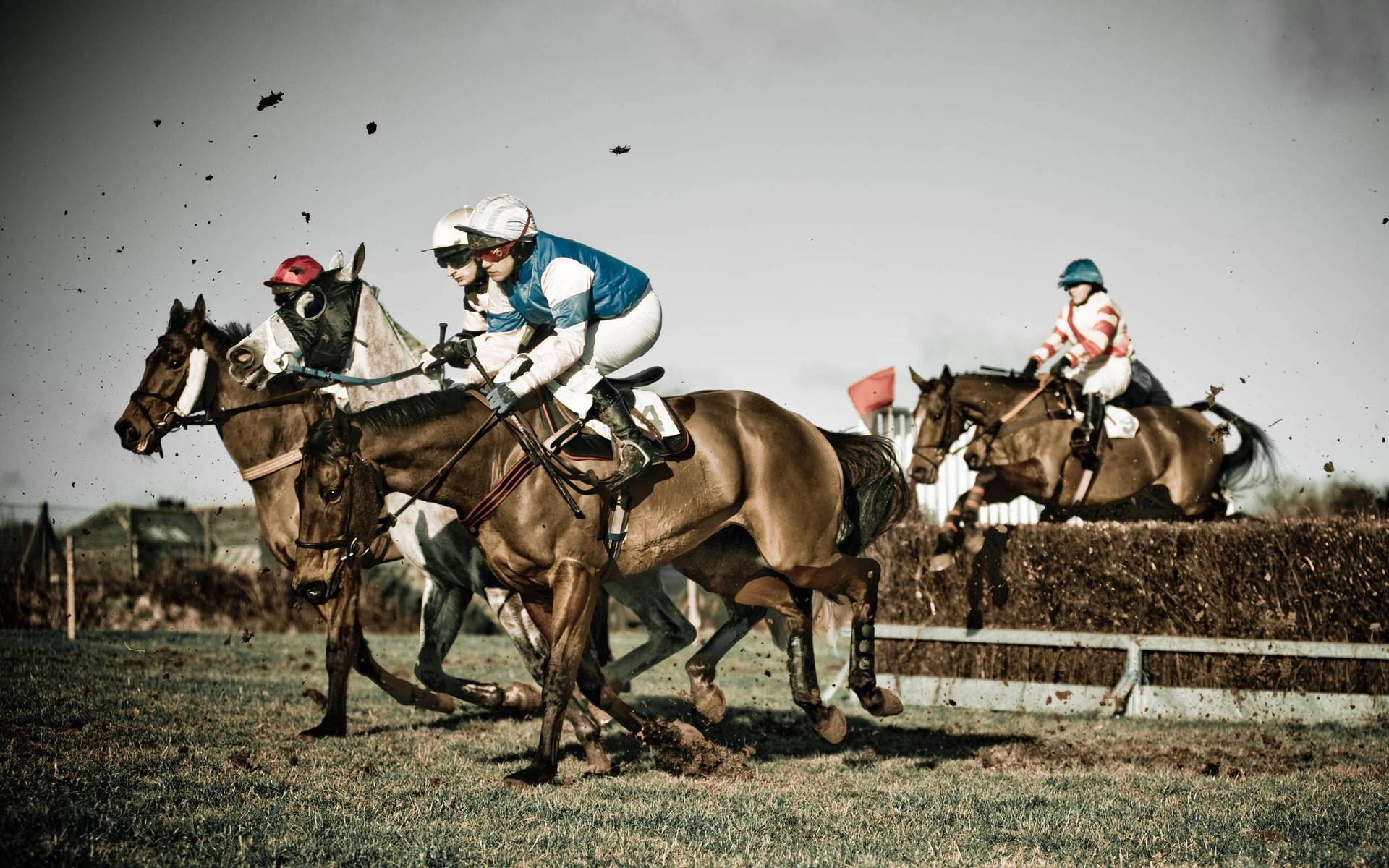 Four Horse Rider In Horse Racing Wallpaper