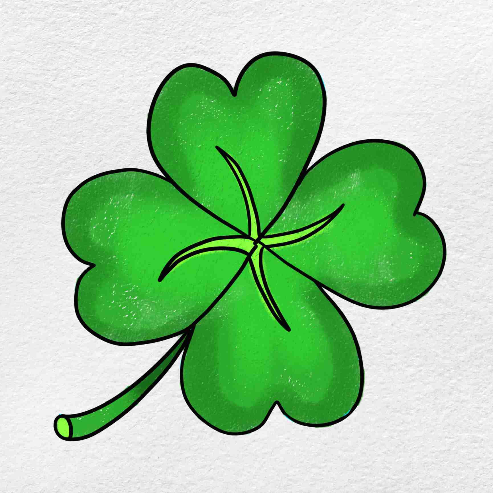 Four Leaf Clover Pencil Drawing Art Picture