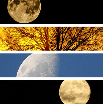Four Moon Phases Collage PNG