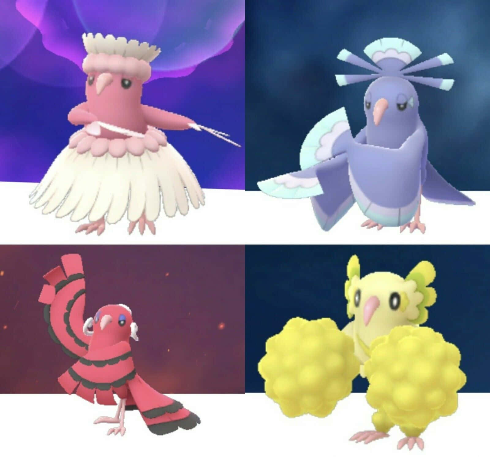 Four Oricorio Forms Together Wallpaper