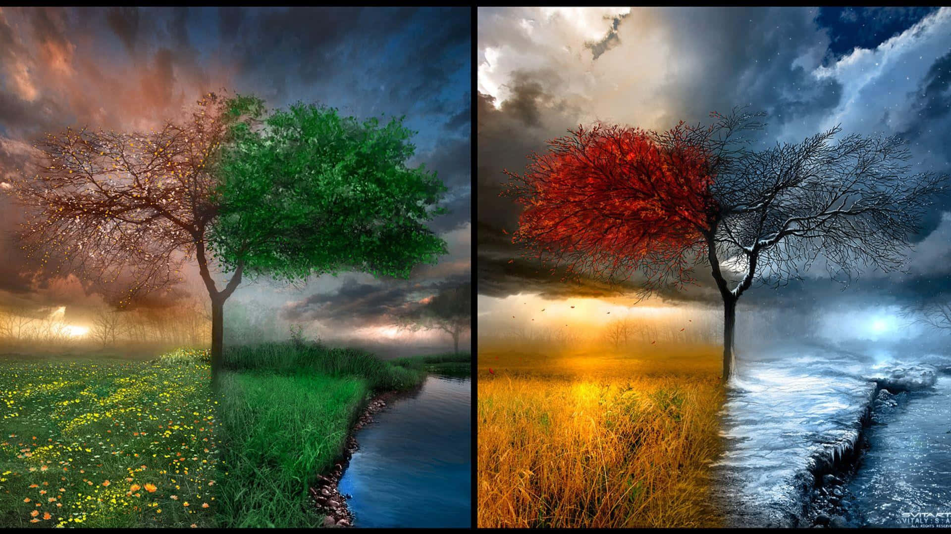 Four Season Nature Scenery Comparison Wallpaper