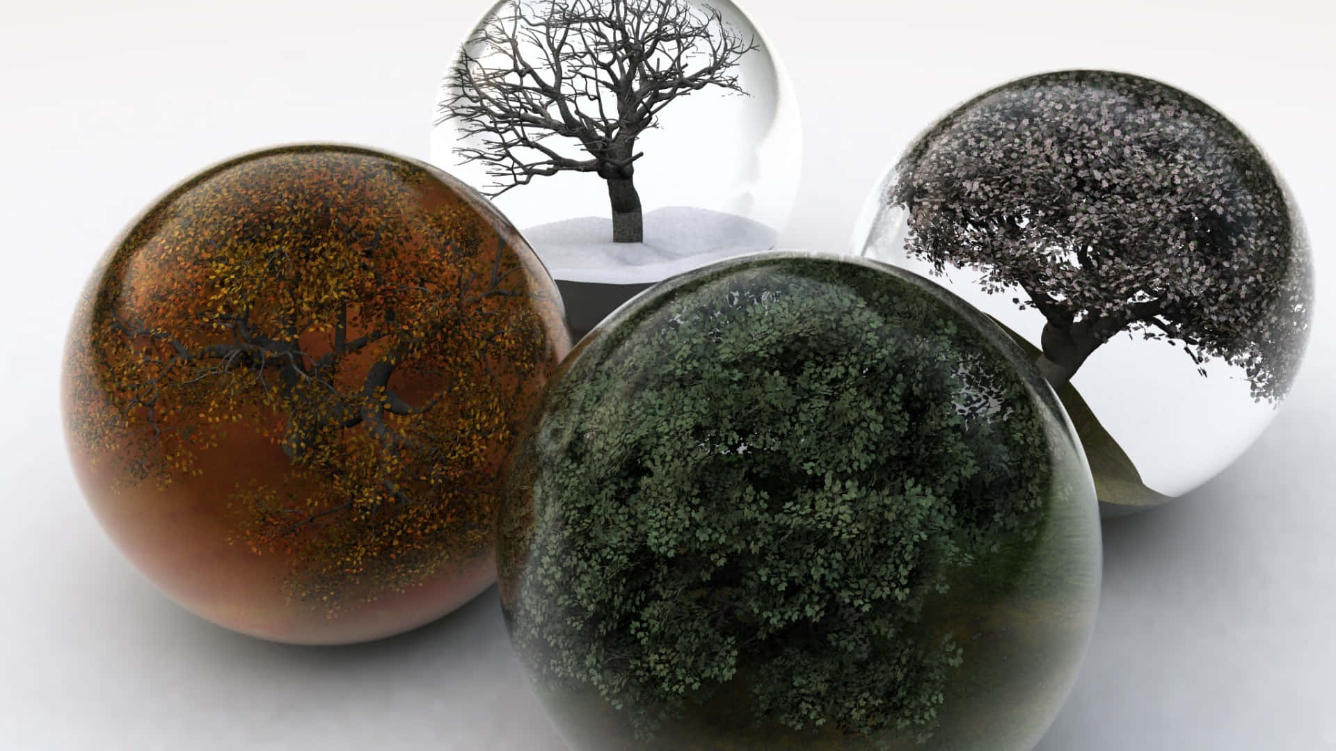 Four Seasons Trees In Glass Balls Wallpaper