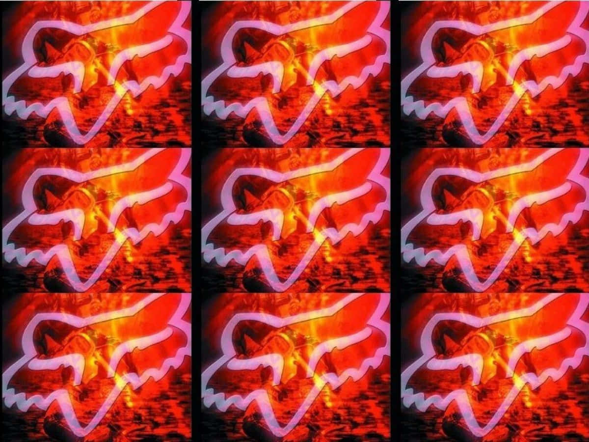 Einereihe Von Bildern Mit Füchsen In Rot Und Orange Wallpaper