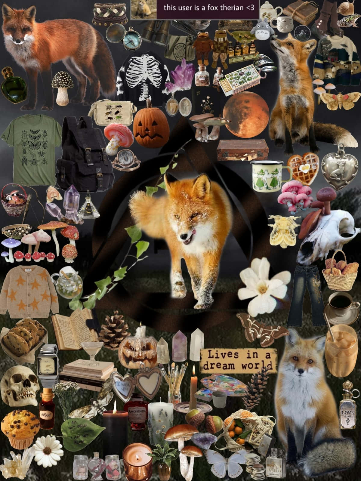 Fox Therian Collage Aesthetic Wallpaper