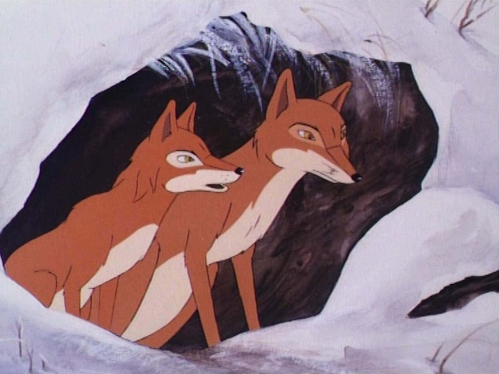 Foxes From The Animals Of Farthing Wood Wallpaper