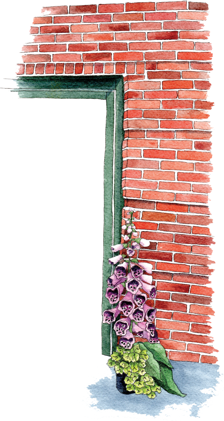 Foxglove Brick Wall Corner PNG