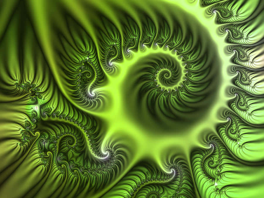 A beautiful and mesmerizing fractal