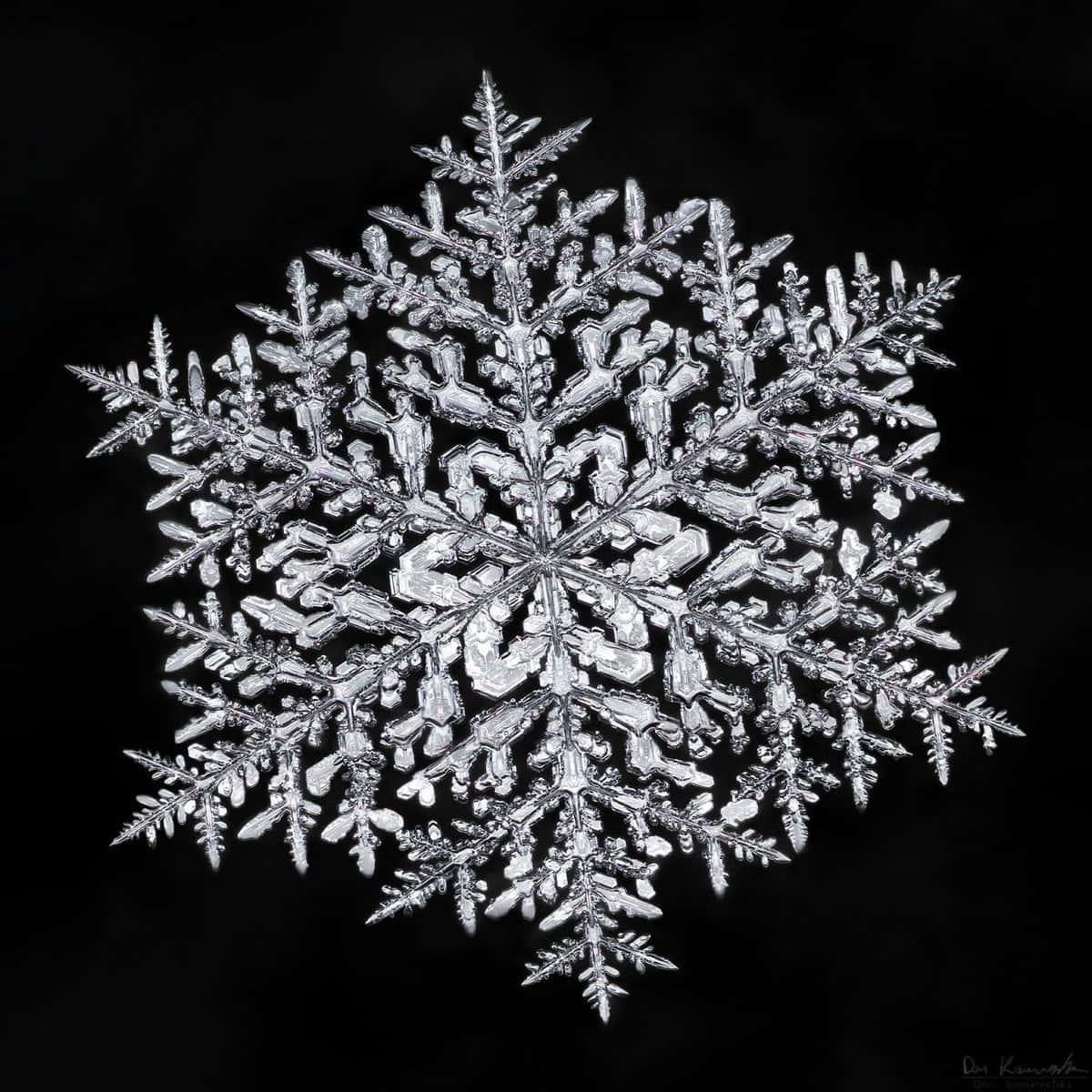 A Snowflake Is Shown On A Black Background