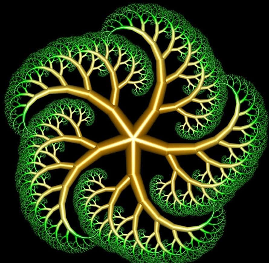 a green tree with branches on a black background