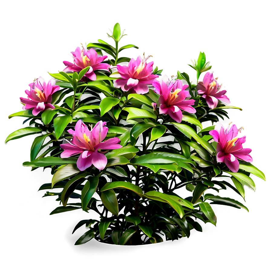 Fragrant Flower Bush Png Rei PNG