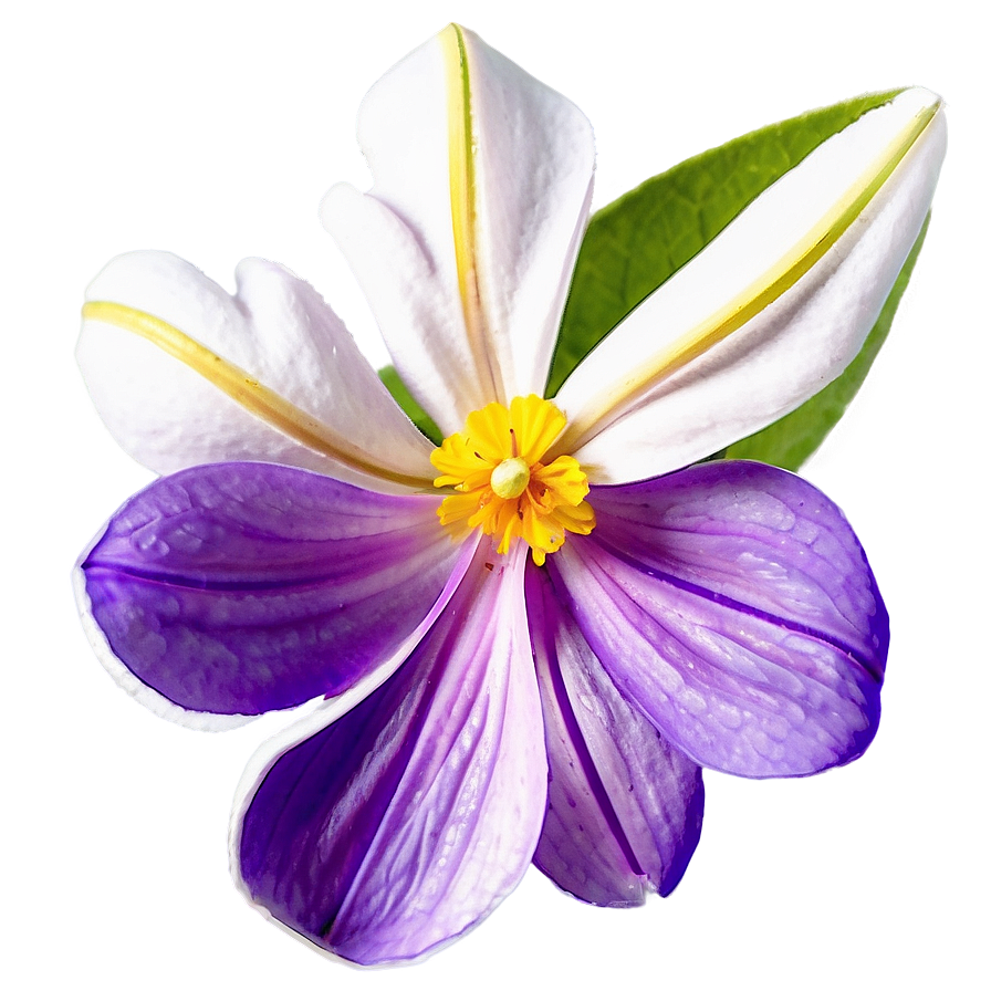 Fragrant Spring Flower Png Cin PNG