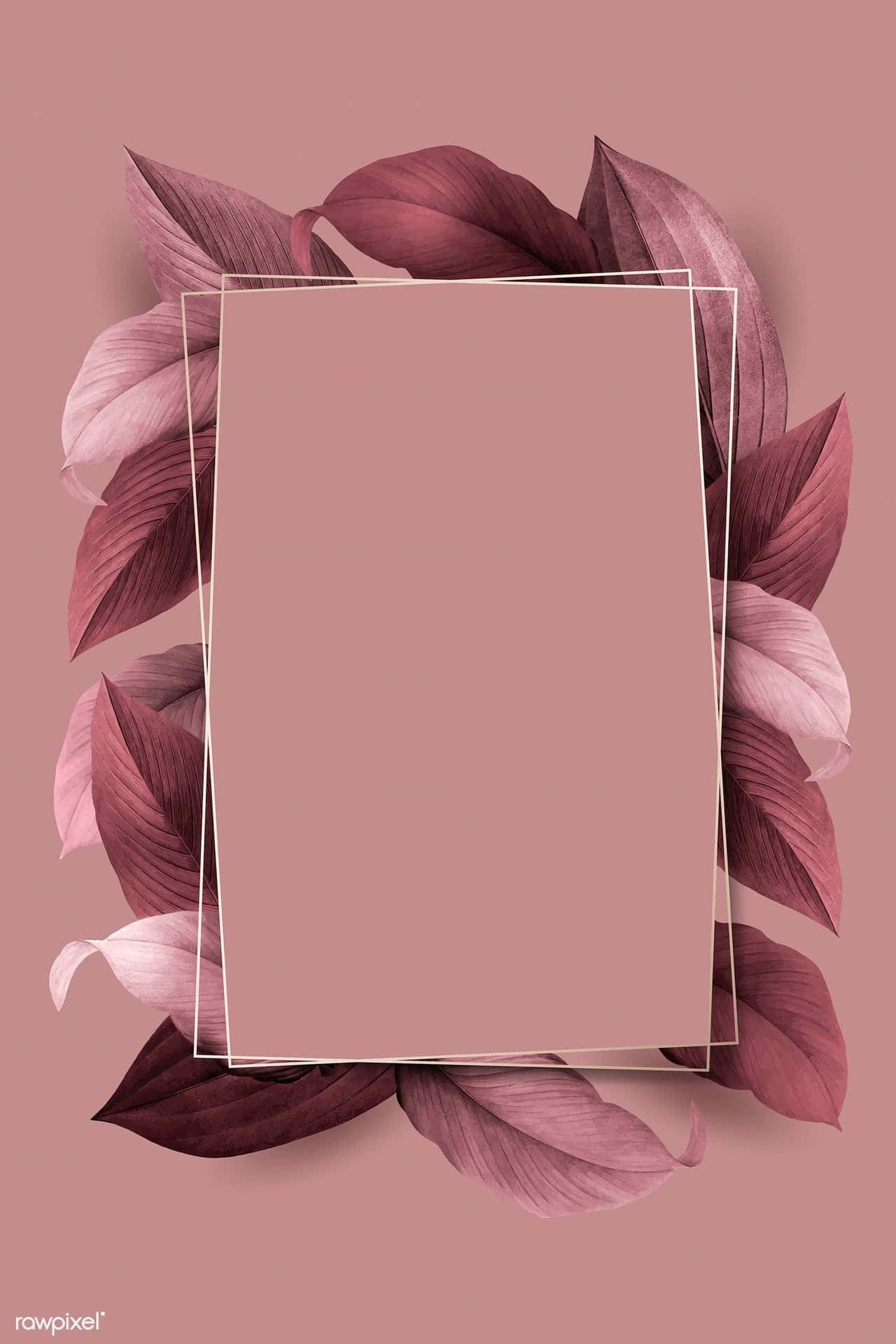 Einrosa Rahmen Mit Blättern Auf Einem Rosa Hintergrund.