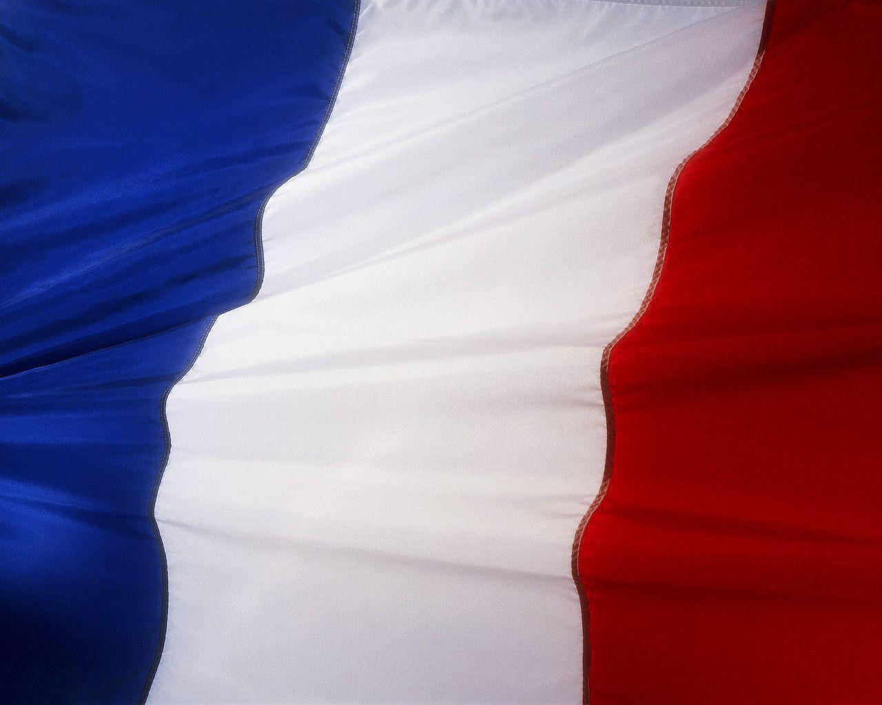 France Flag Fabric