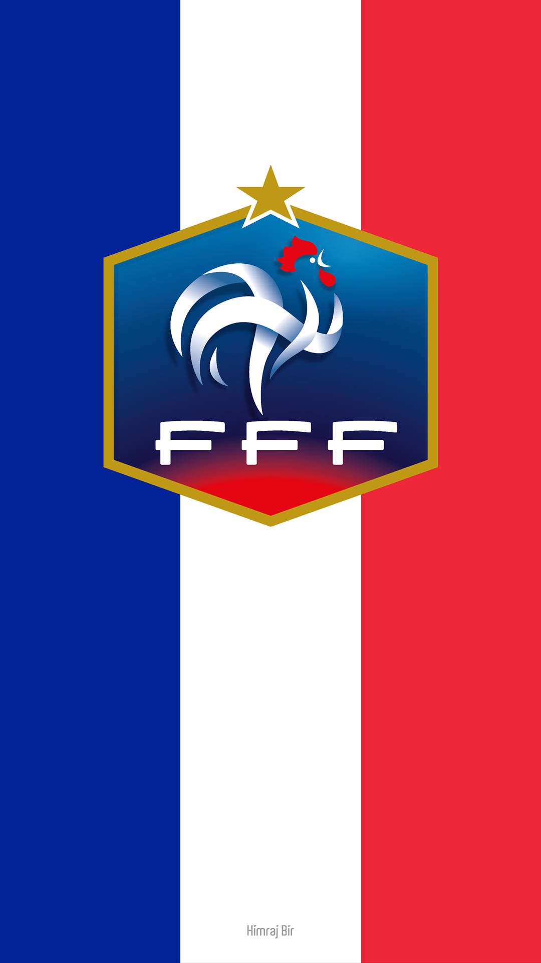 French Football Federation - Wikipedia