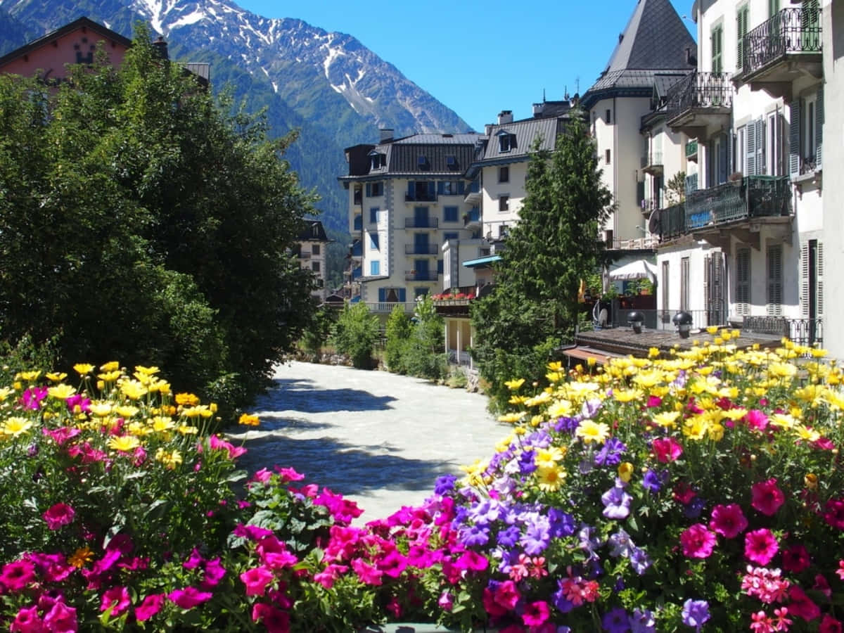 Esplorala Bellezza Romantica Della Francia