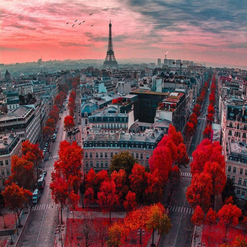 A Fall Scene in the French Countryside