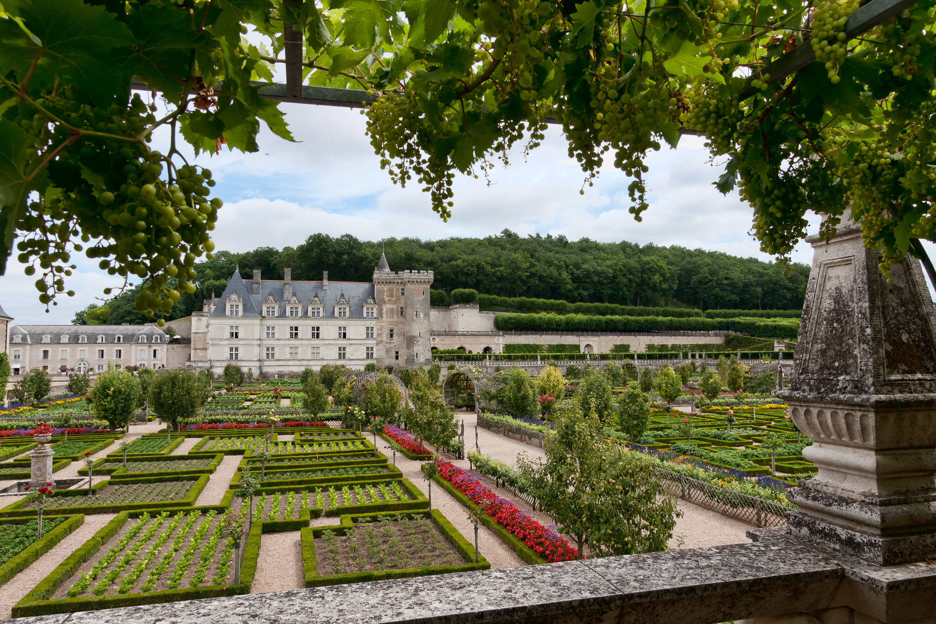 France's Garden Of Villandry
