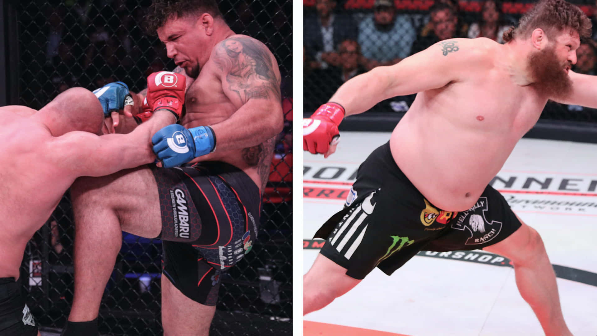 Frank Mir And Roy Nelson Collage Wallpaper