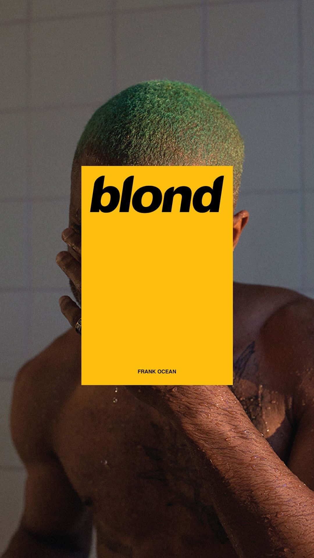Frank Ocean in his critically acclaimed 2016 album 'Blonde' Wallpaper
