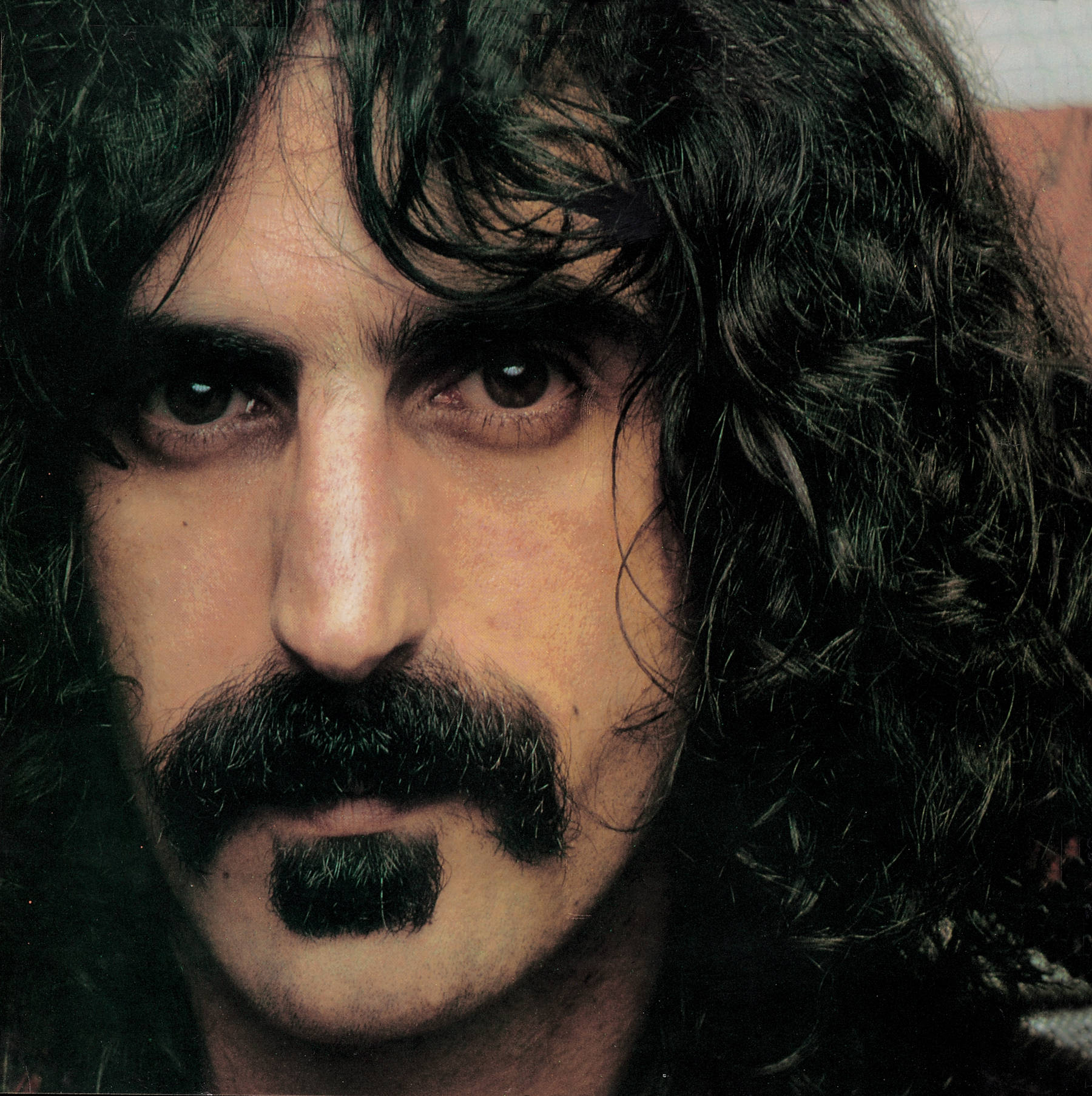Primo Piano Di Frank Zappa Sfondo