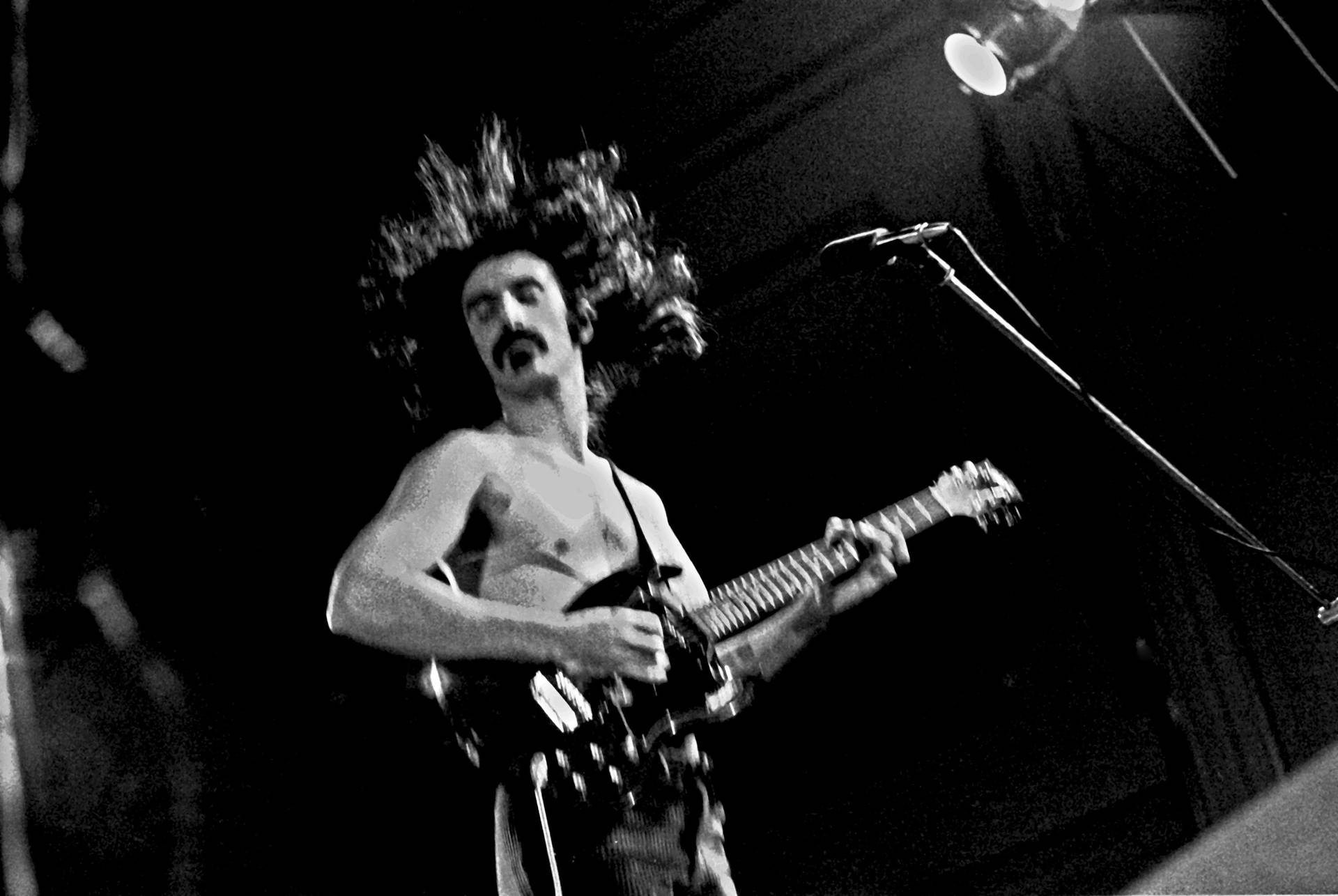 Esibizione Dal Vivo Di Frank Zappa Sfondo
