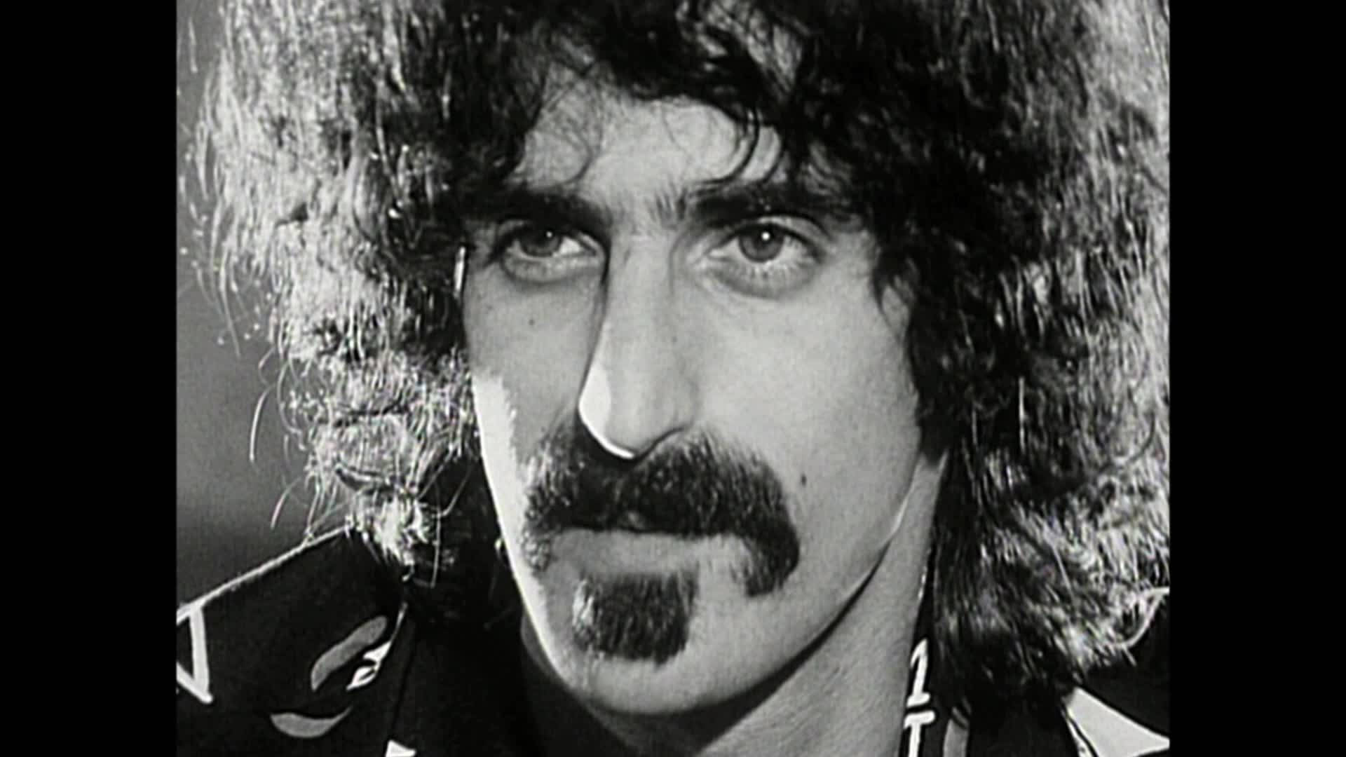 Frank Zappa Overskæg Wallpaper