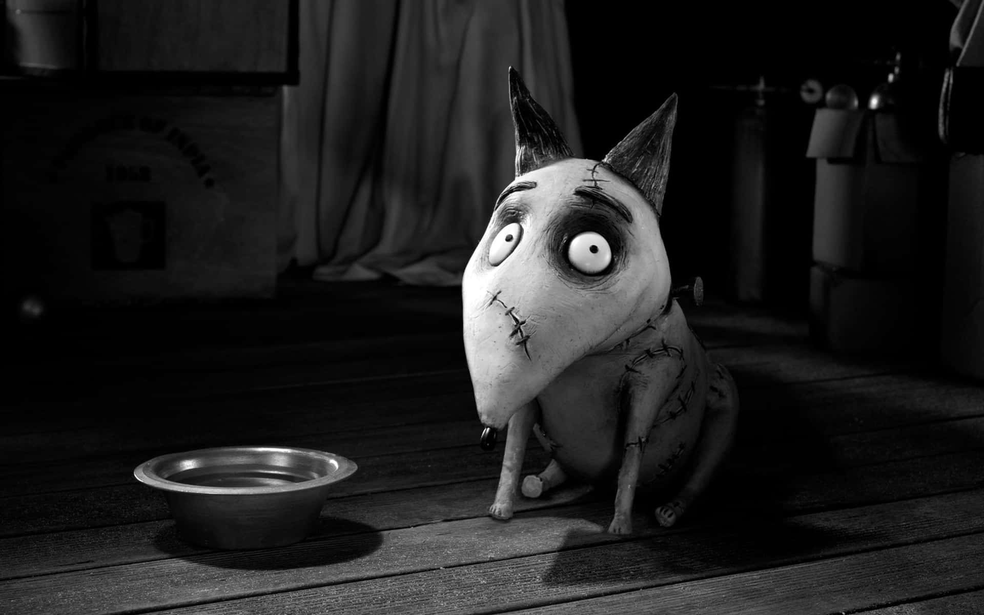 Sfondodi Frankenweenie