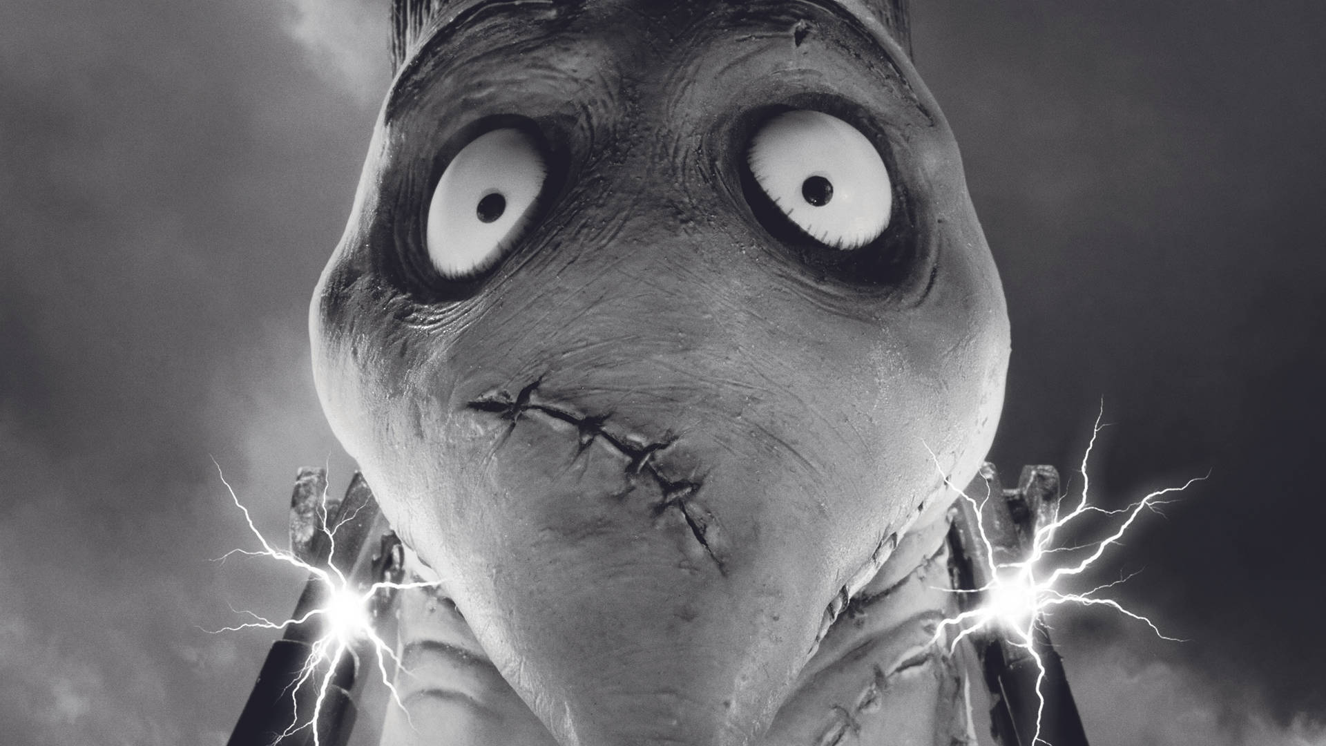 Frankenweenie Electrocuted Sparky Wallpaper