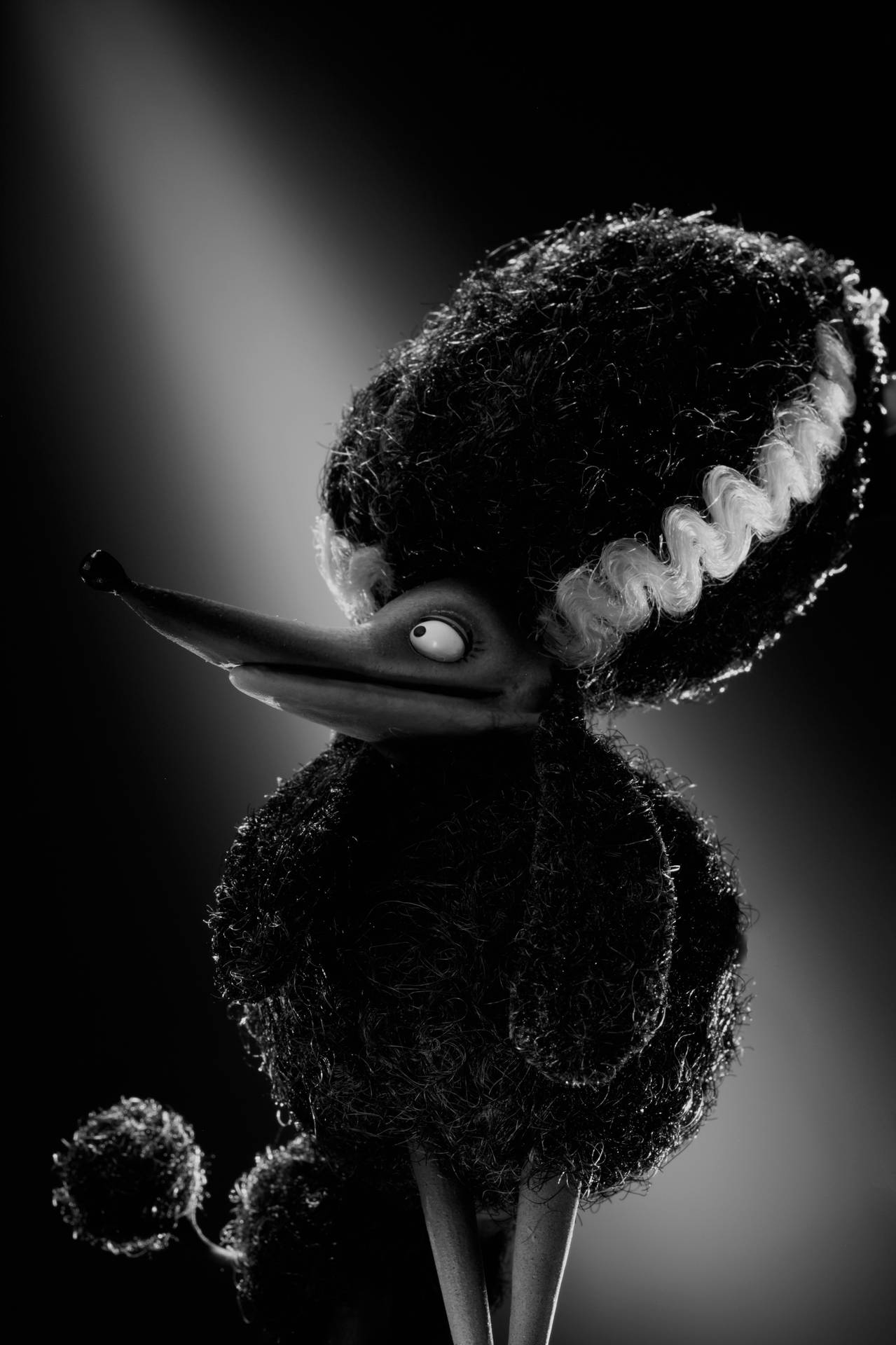 Persephone, the Poodle from Frankenweenie Poster Wallpaper