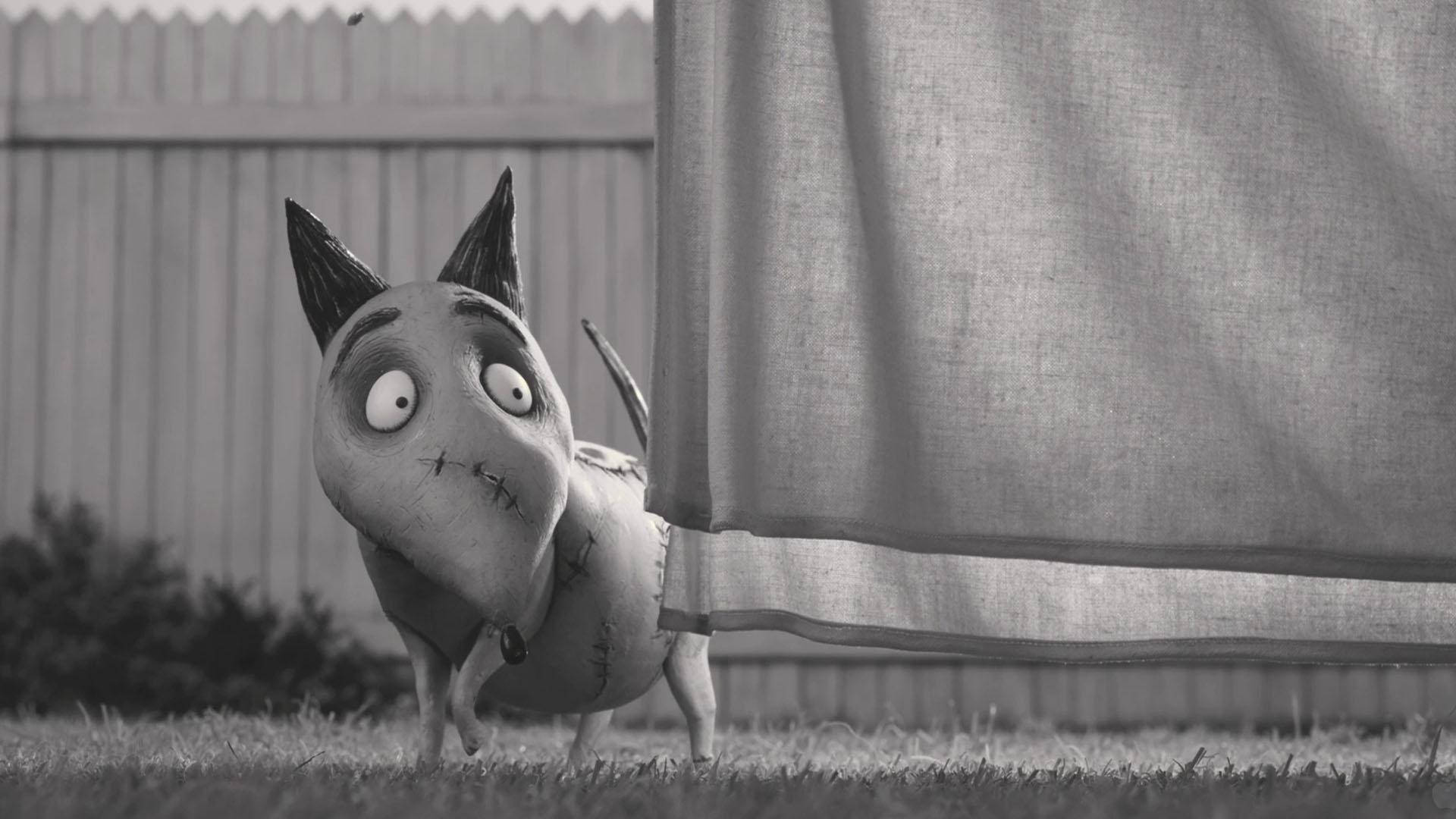 Frankenweenie Sparky Behind Laundry Wallpaper
