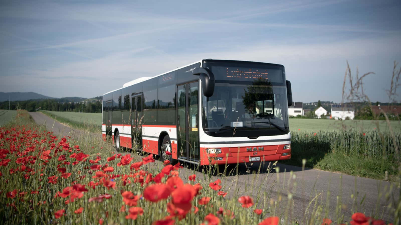 Frauenfeld Bus Among Poppies Wallpaper