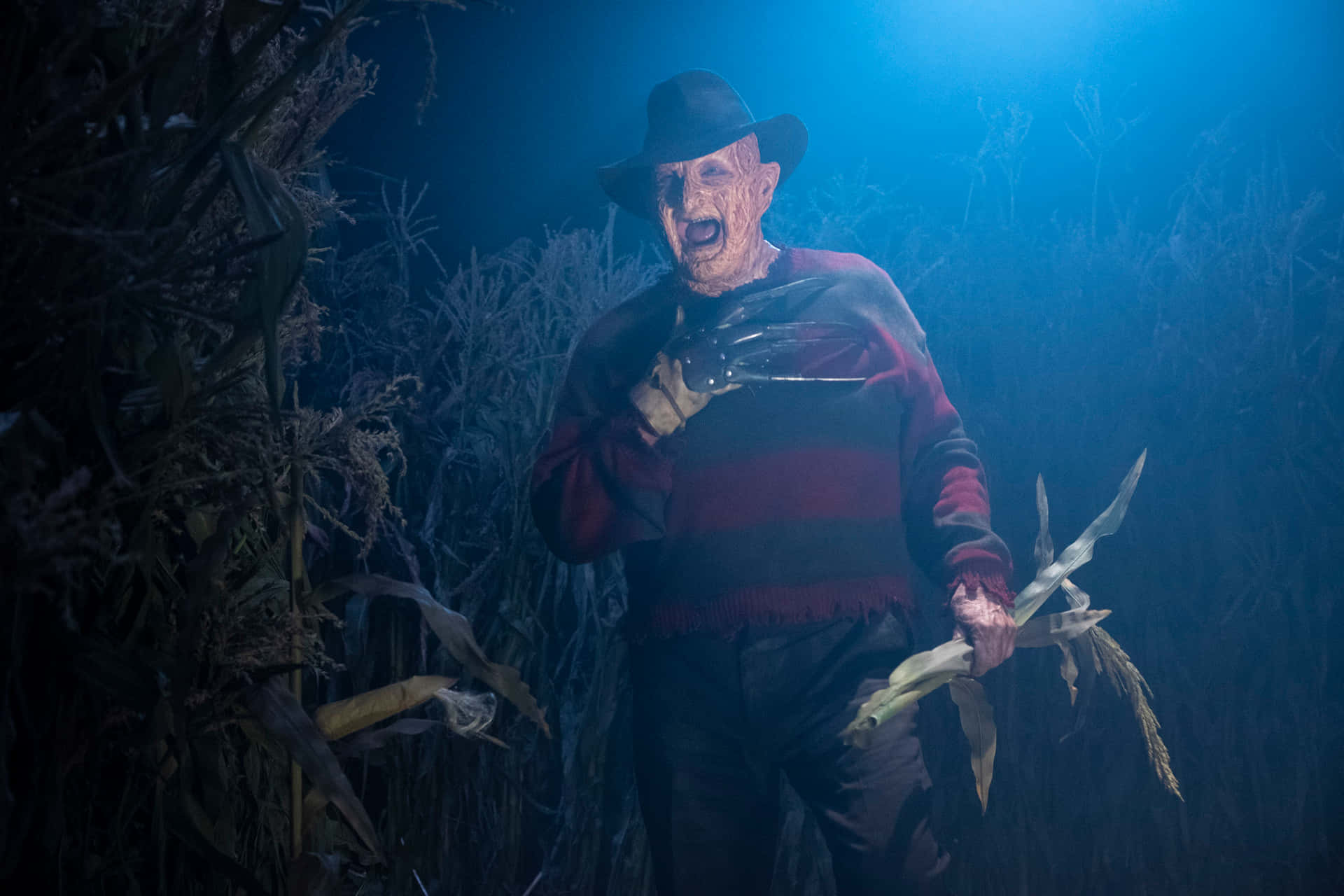 Freddy Krueger, the nightmare of Elm Street