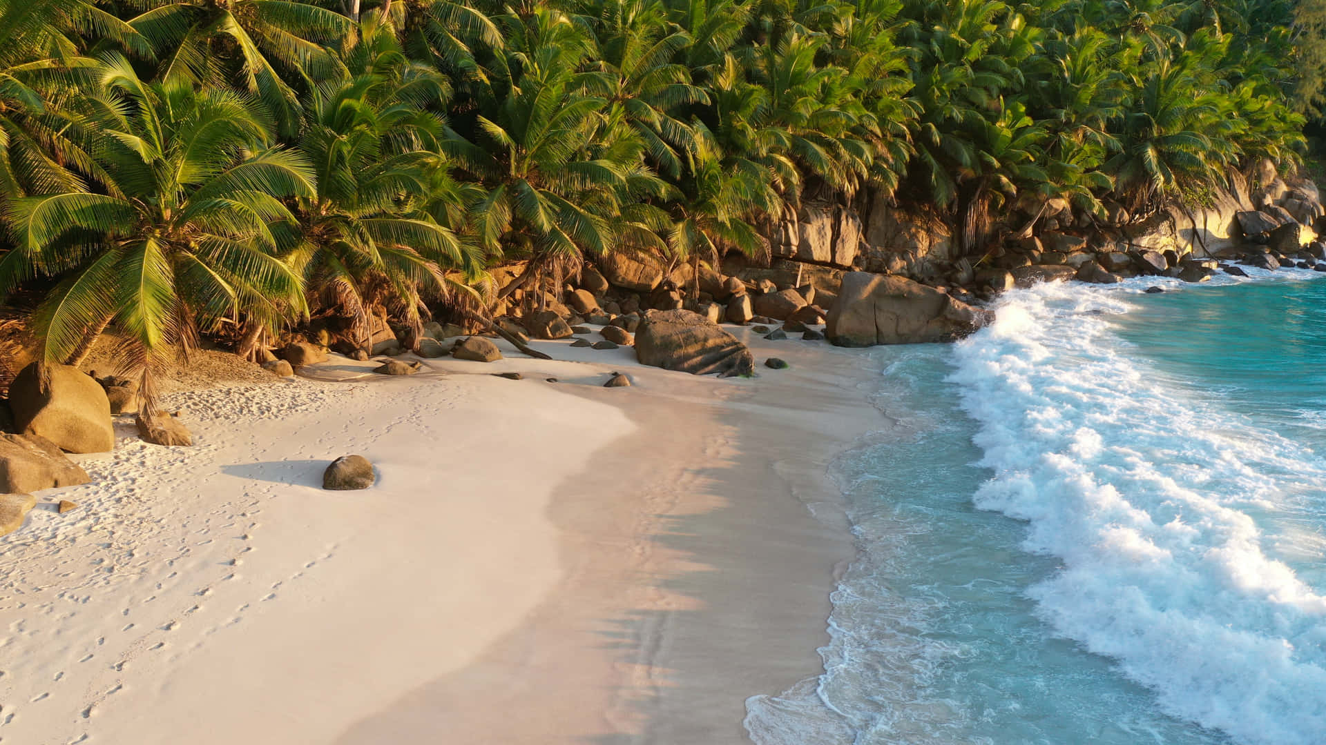 A White Sandy Beach With Palm Trees And Waves