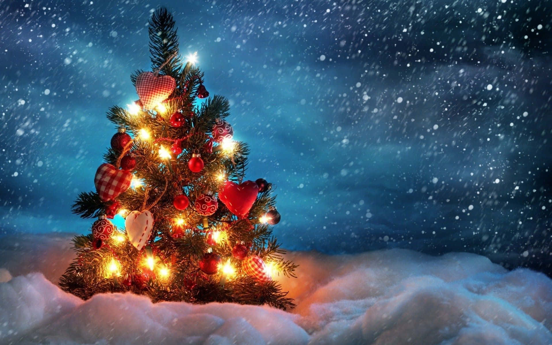 Free Christmas Tree Snow Night Picture