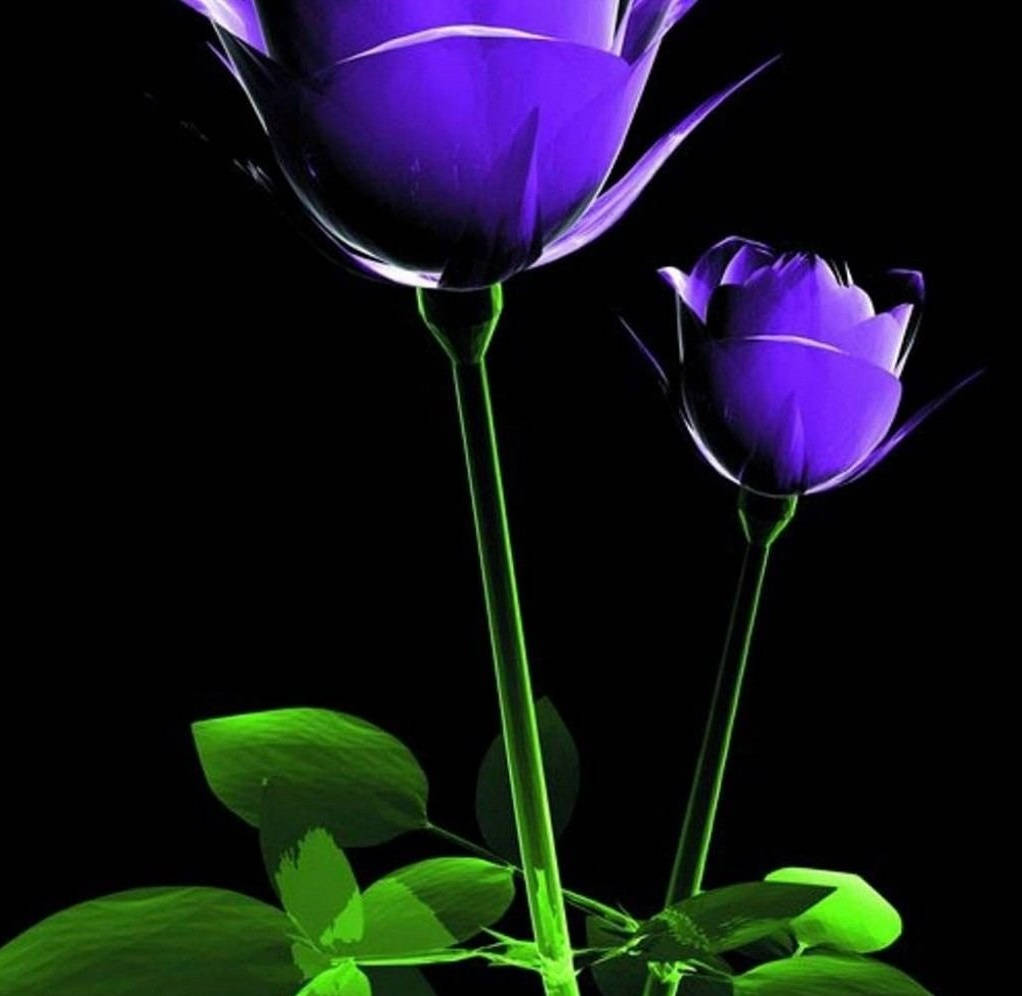 Free Image 3d Purple Flower Wallpaper