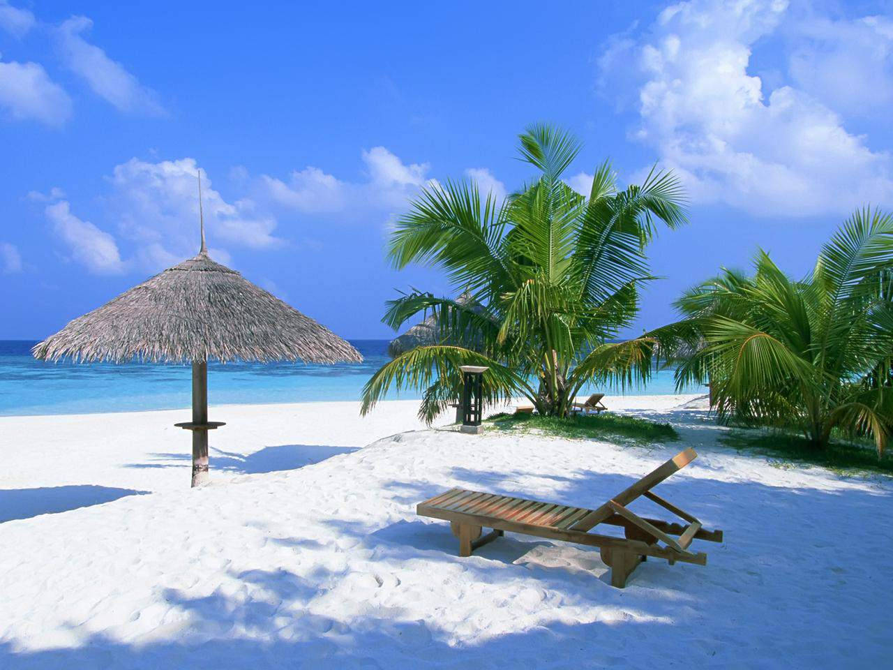 Free Image Beach White Sand Picture