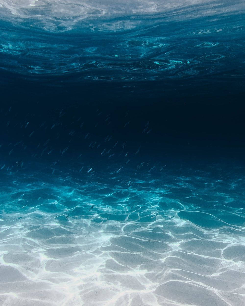Free Image Dark Blue Water Picture