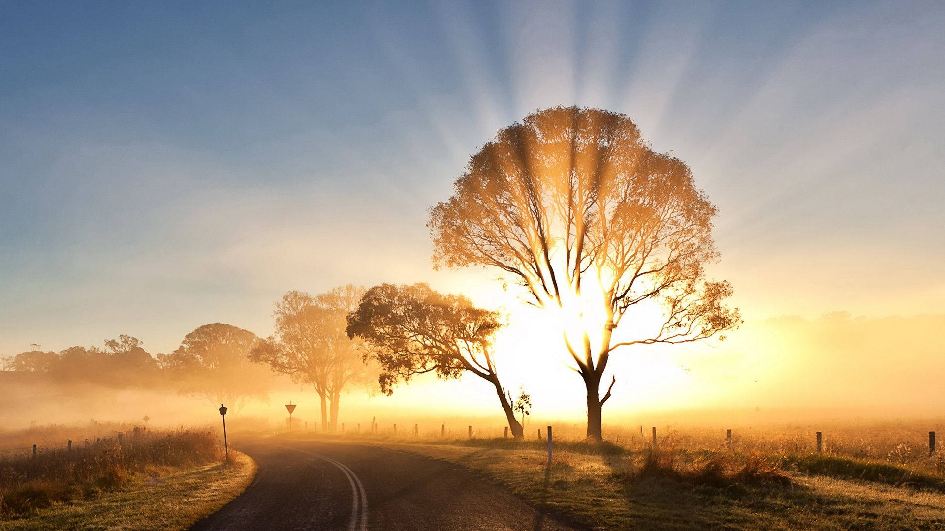 Look on in wonder at this tranquil sunrise Wallpaper
