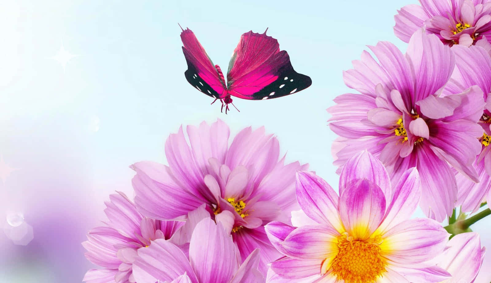 Free To Use Butterfly On Dahlias Wallpaper