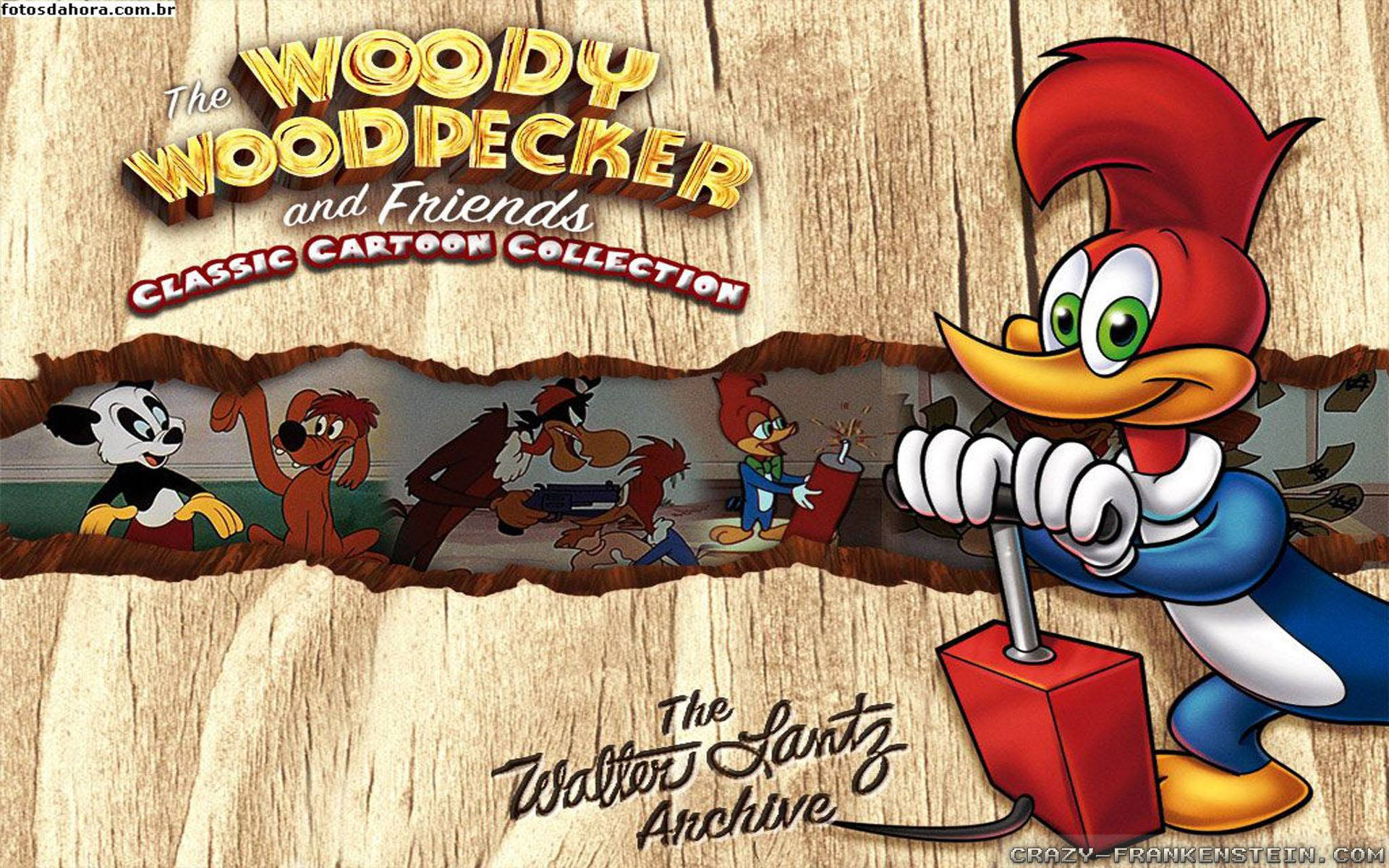 Woody Woodpecker in Action Wallpaper