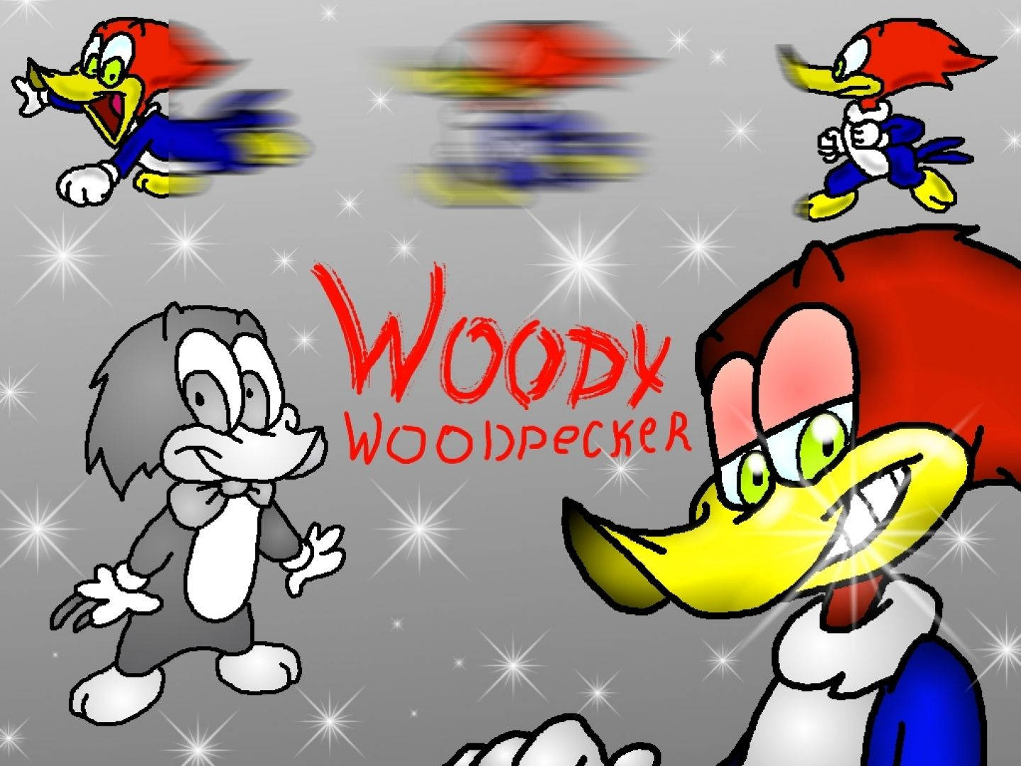 Woody Woodpecker, the lovable animated bird Wallpaper