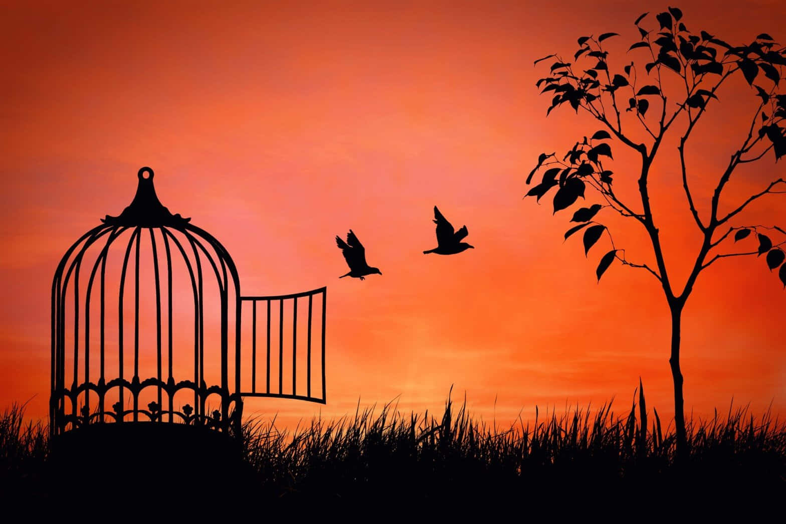 Silhouette Of A Bird Cage With Birds Flying Over It