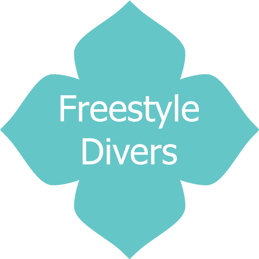 Freestyle Divers Logo PNG