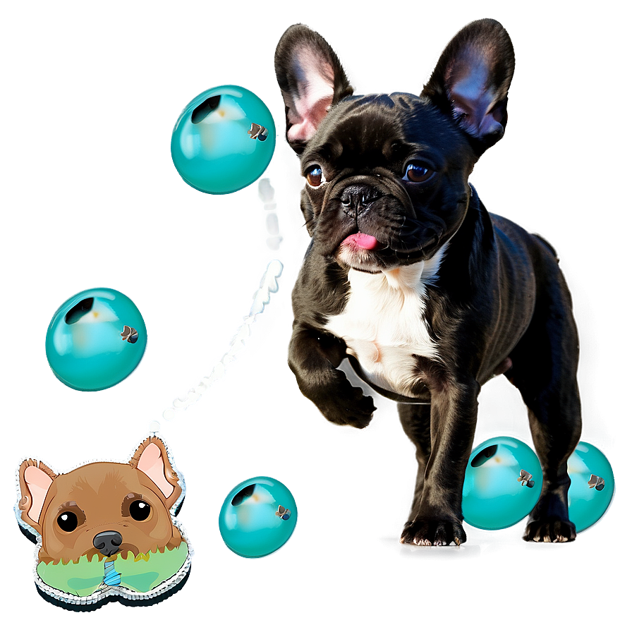 French Bulldog Playing Png Rgw71 PNG