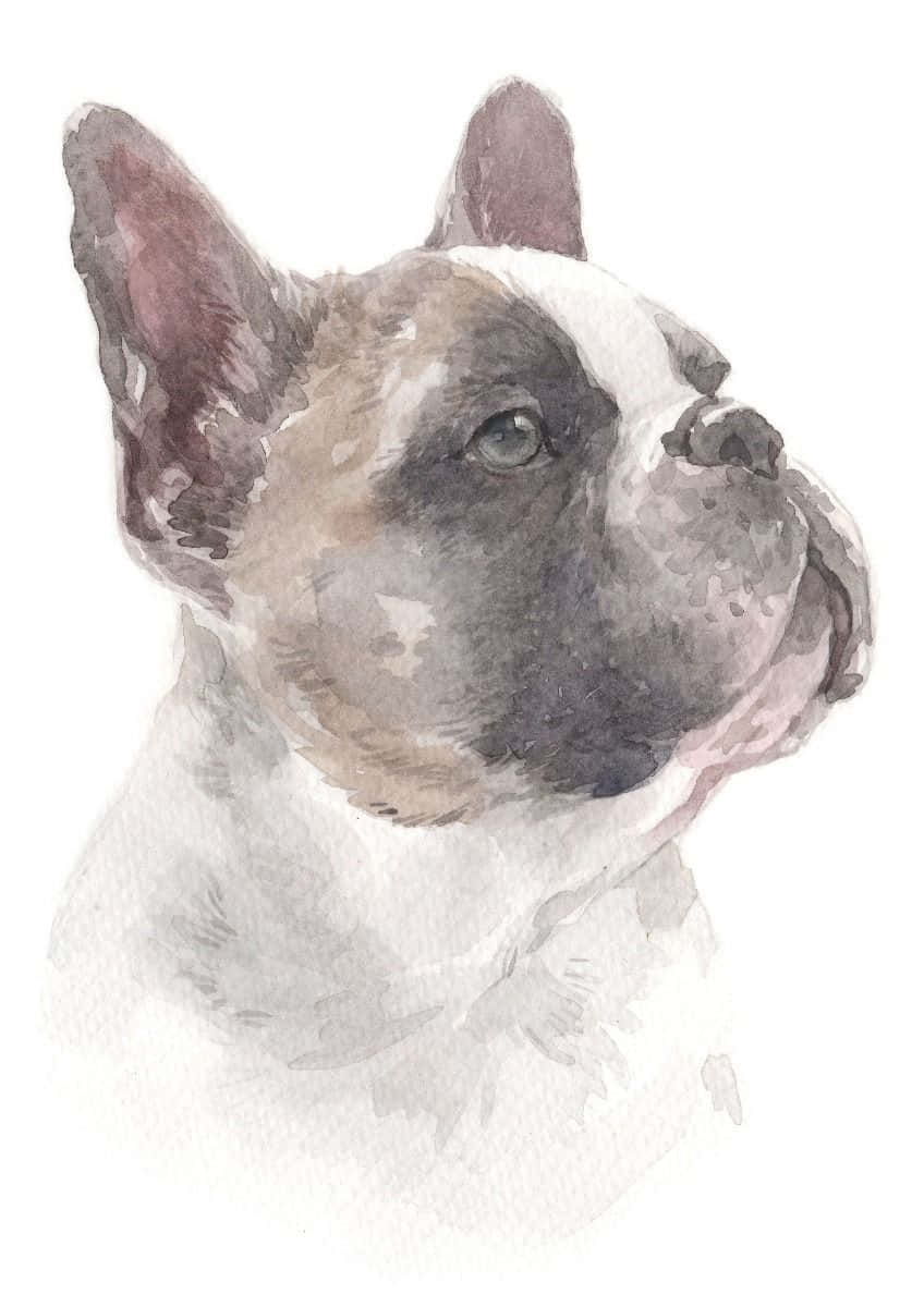 French Bulldog Watercolor Painting Background