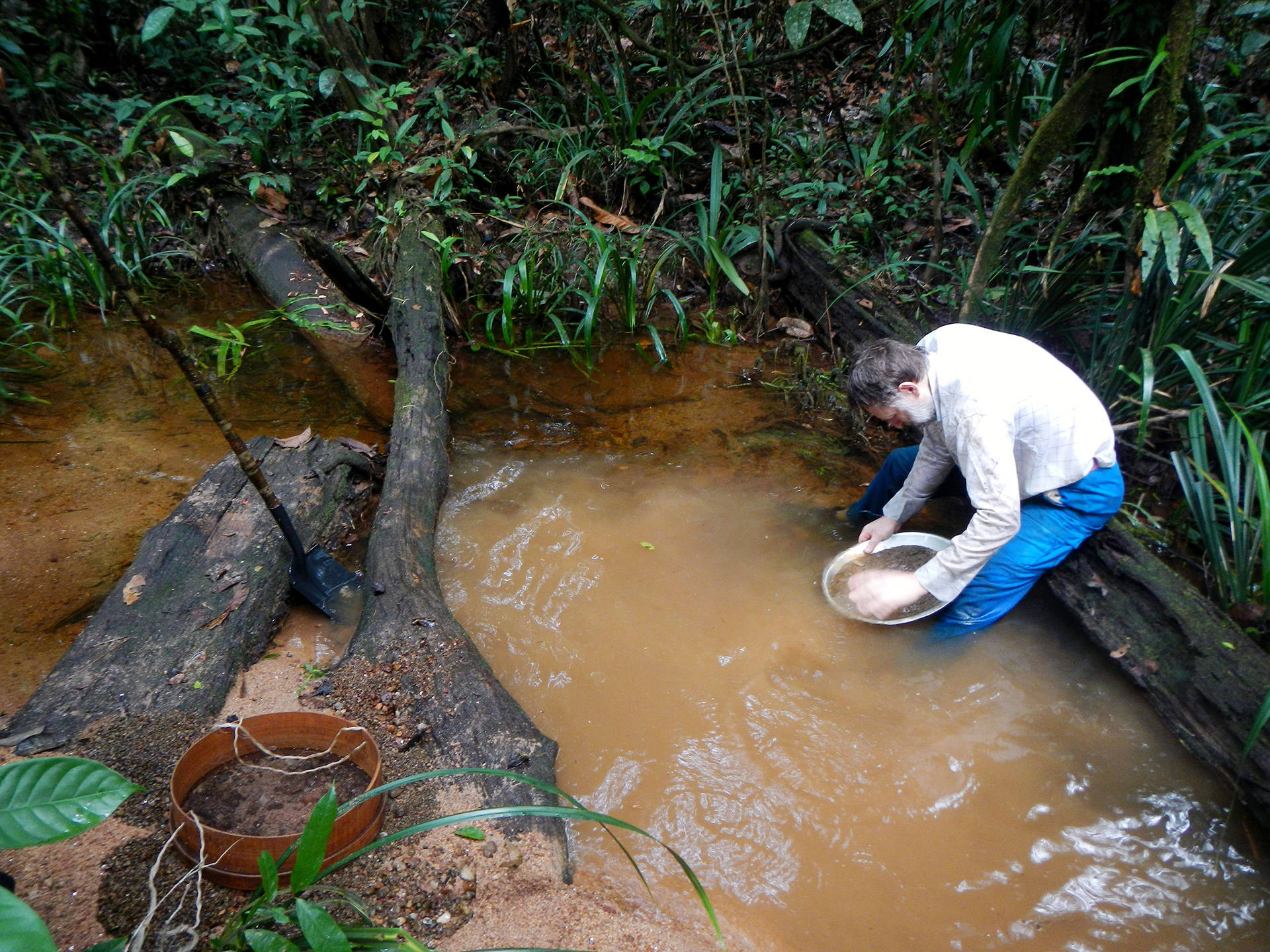 Extracciónde Coltan En La Guayana Francesa Fondo de pantalla