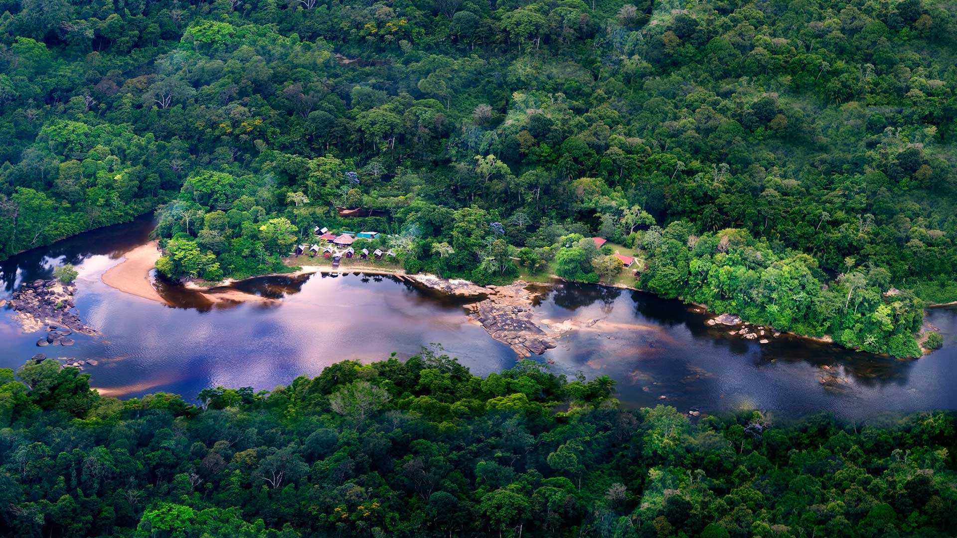 Ríoen La Selva De La Guayana Francesa Fondo de pantalla