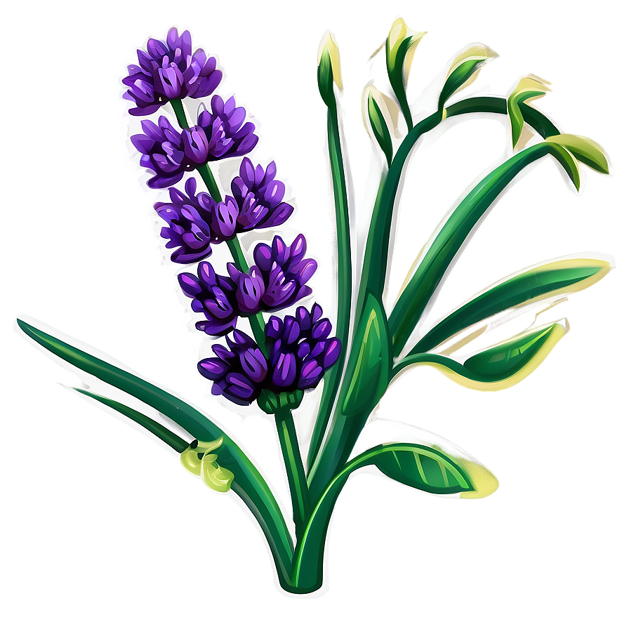 French Lavender Flower Png Utx30 PNG