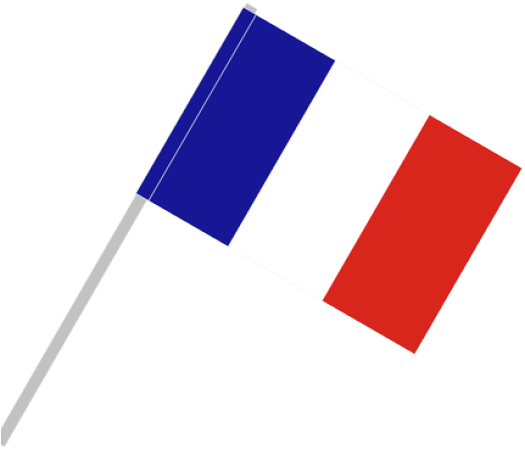 French National Flagon Pole PNG
