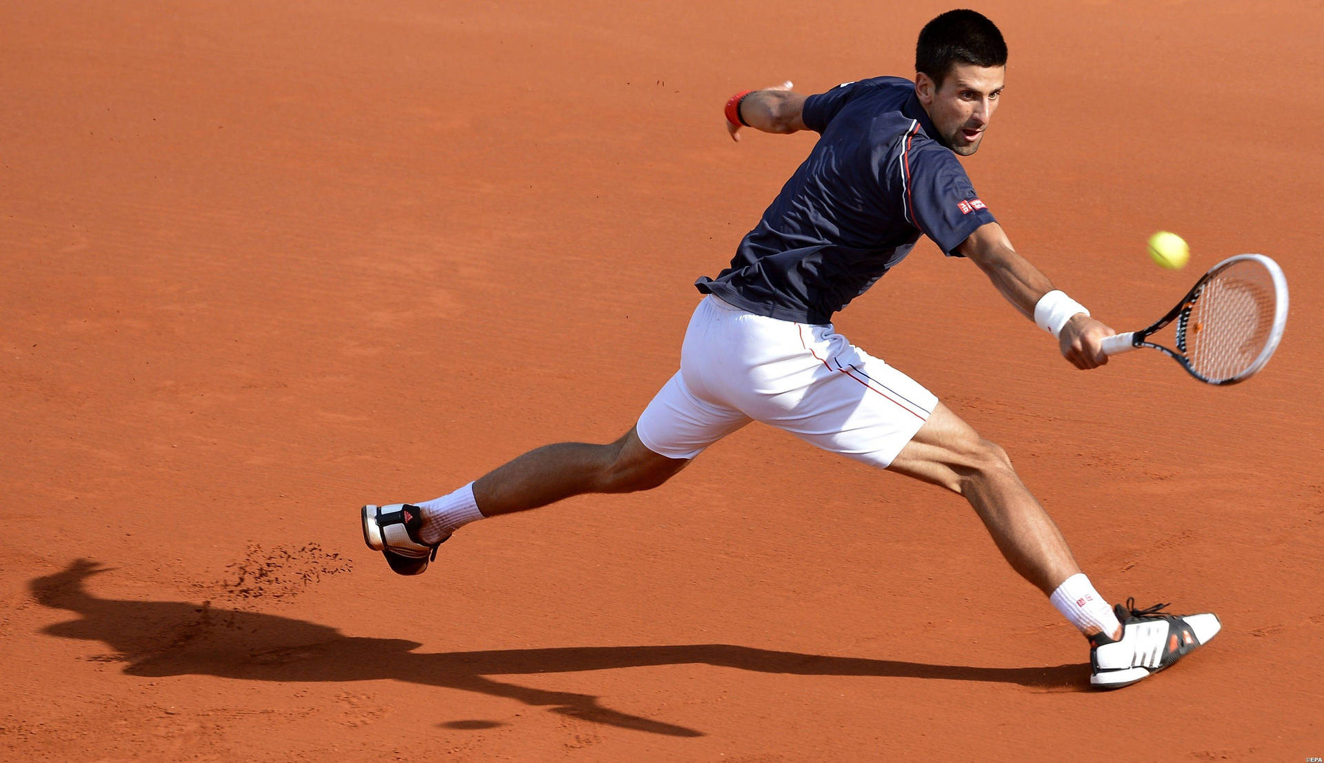 French Open Single Tournament Novak Djokovic Wallpaper